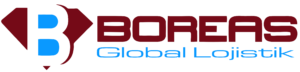 Boreas Global Lojistik Logo
